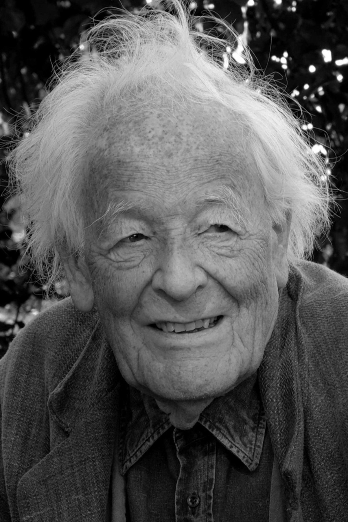 Hans-Jürgen Syberberg backdrop