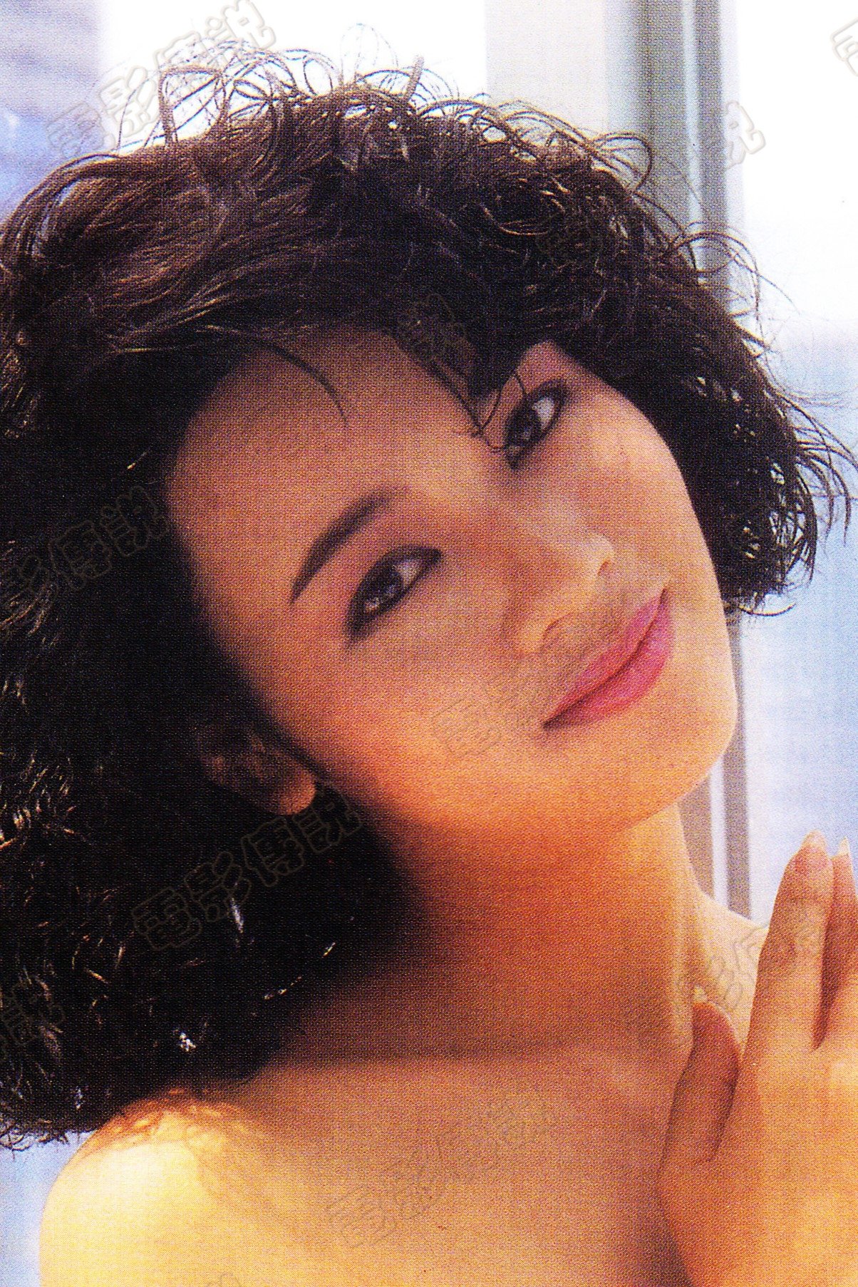 Tsang Siu-Yin backdrop