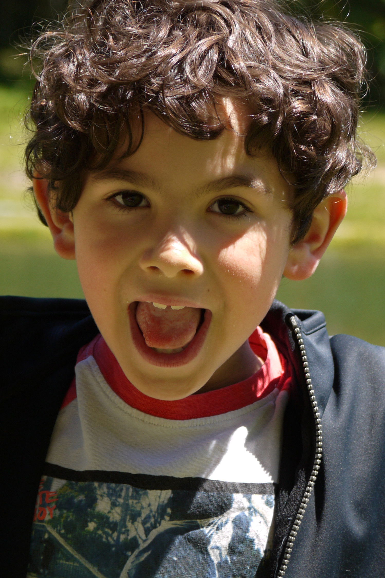 Lorenzo Manicardi backdrop