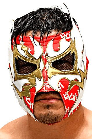 Tokimitsu Ishizawa backdrop