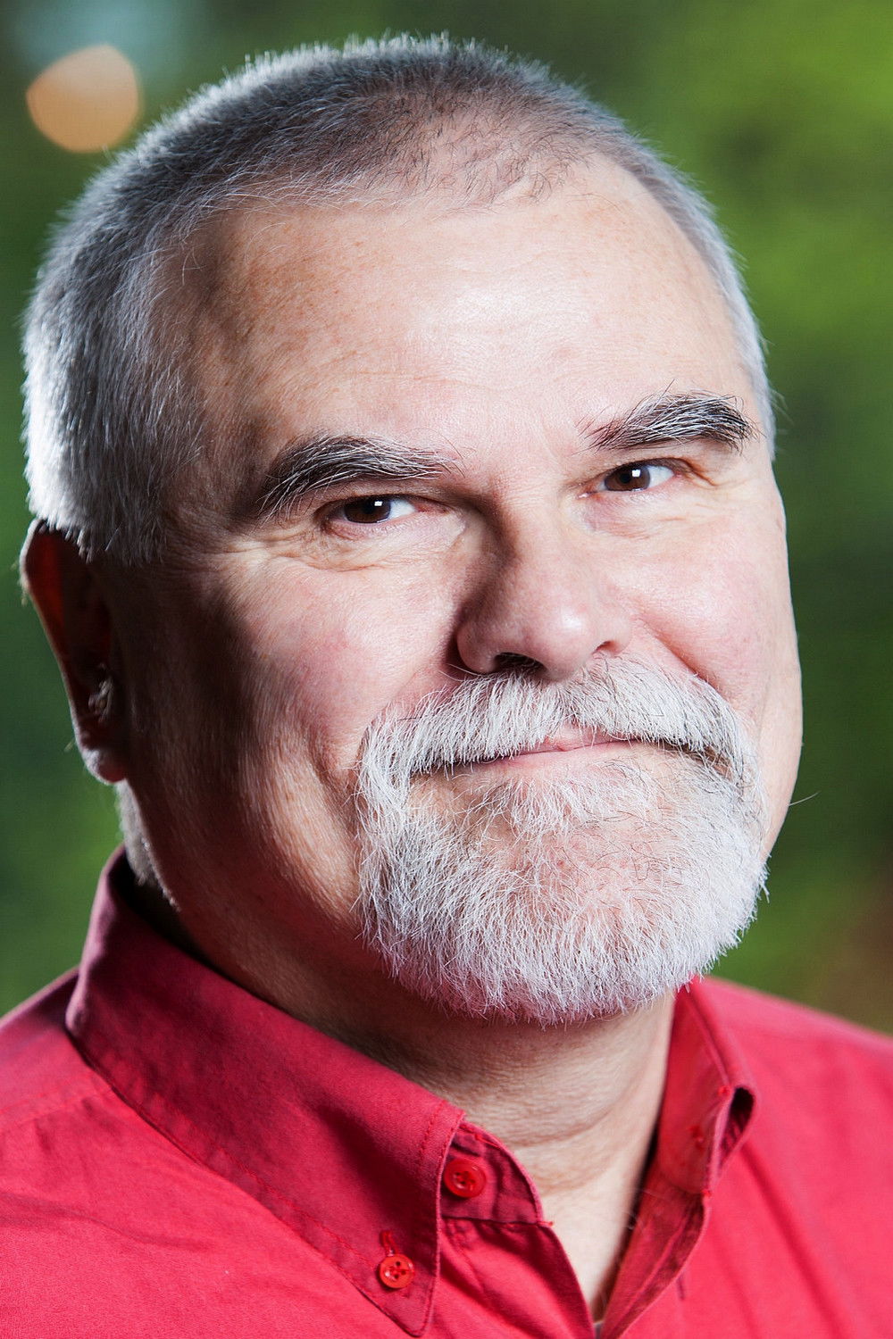 Pálfi Zoltán backdrop