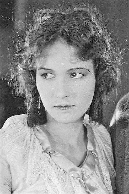 Janice Wilson backdrop