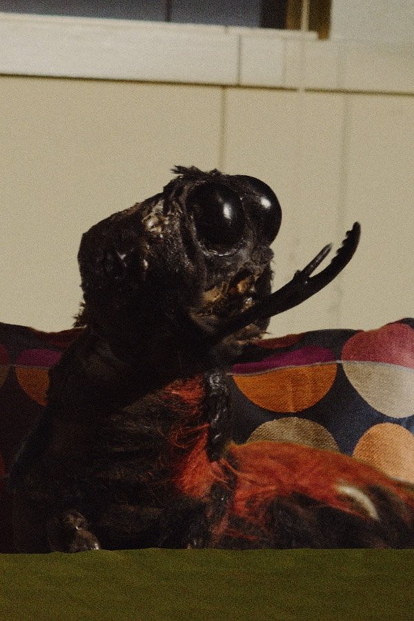 Israel Koite backdrop