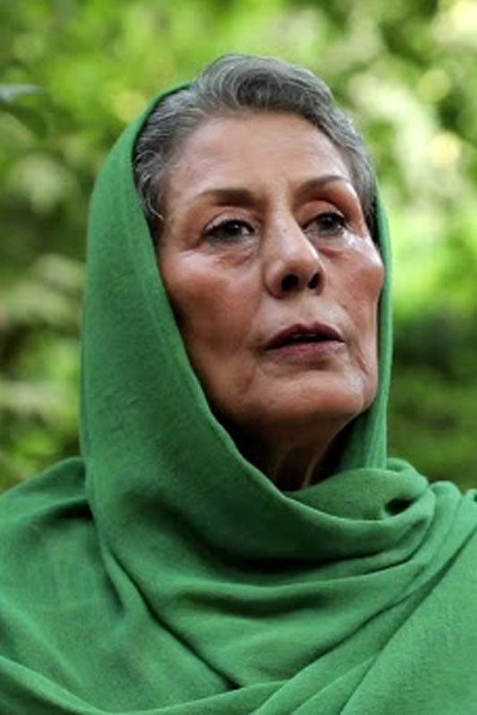 Mahvash Afsharpanah backdrop