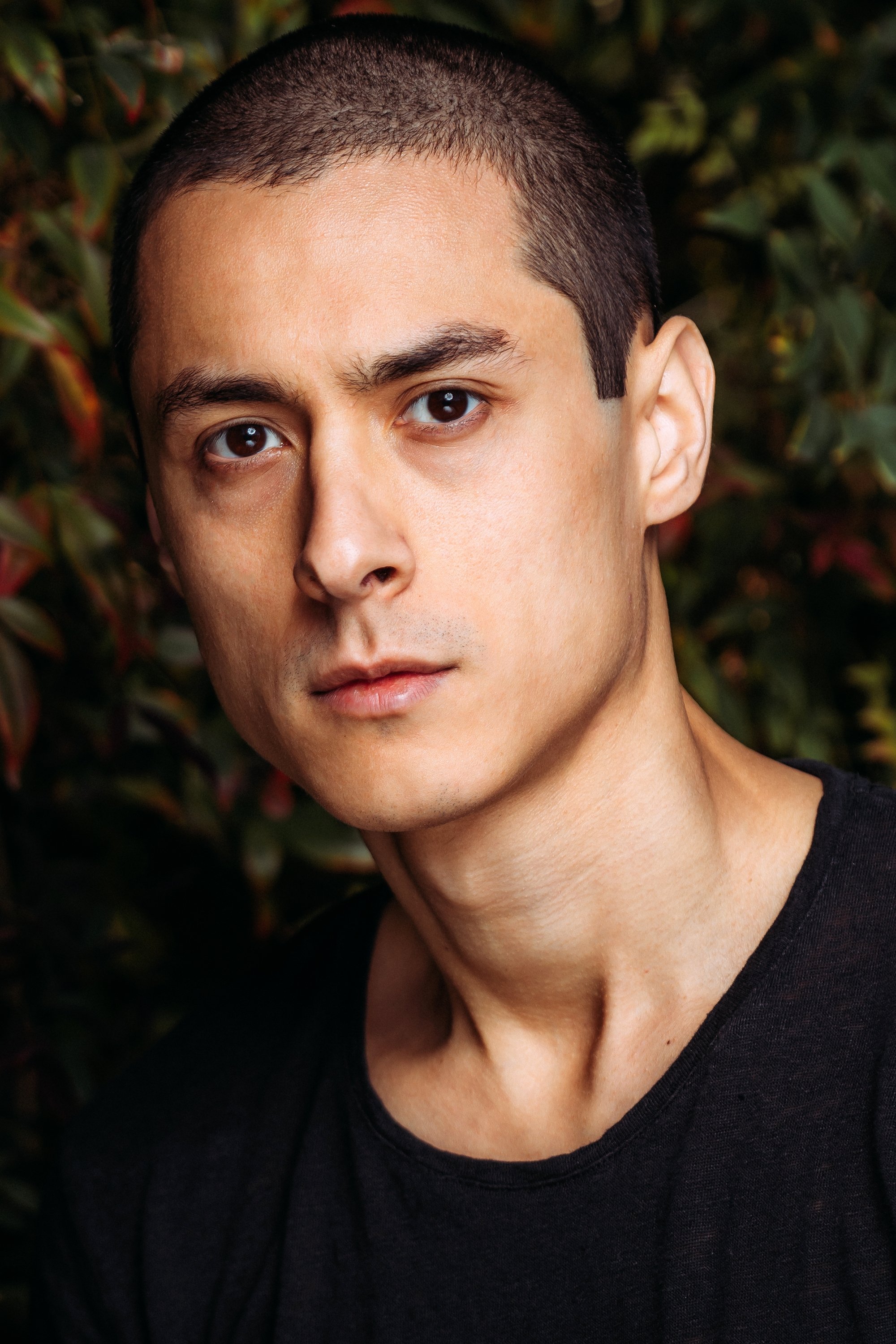 Francisco Grey backdrop