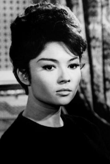 Dany Carrel backdrop