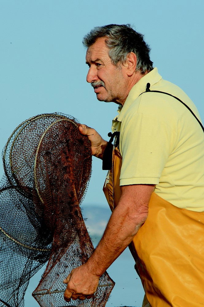 Franco Lupo backdrop