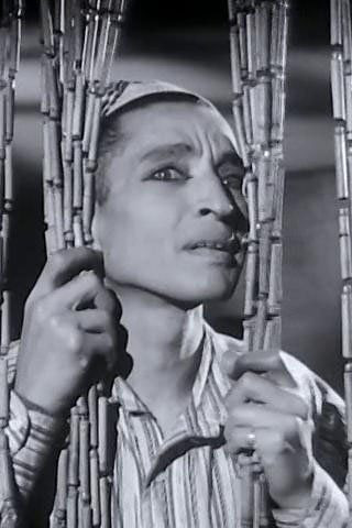 Mounir ElFangary backdrop