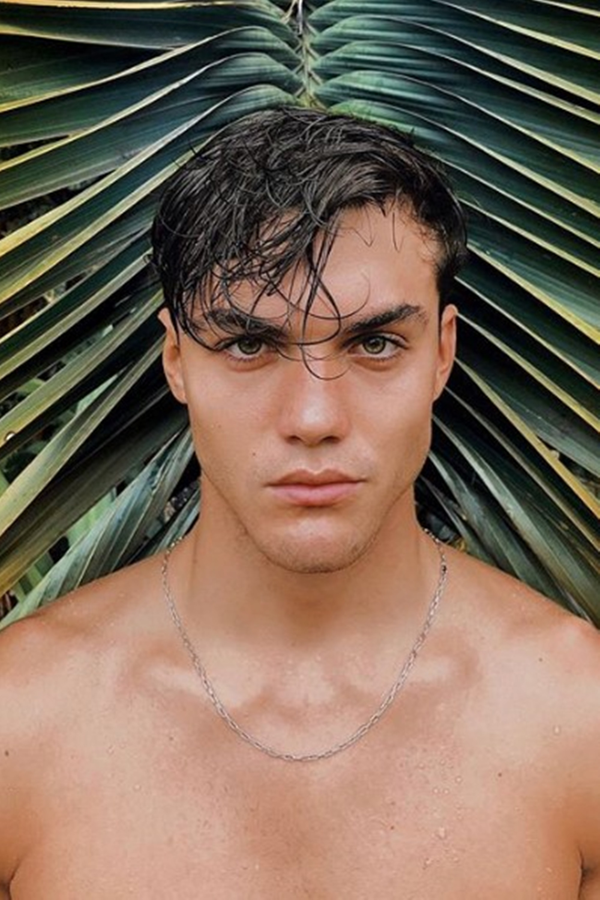Grayson Dolan backdrop