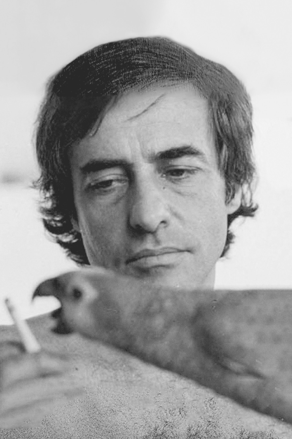 Xhoakim Pedro de Andradë backdrop