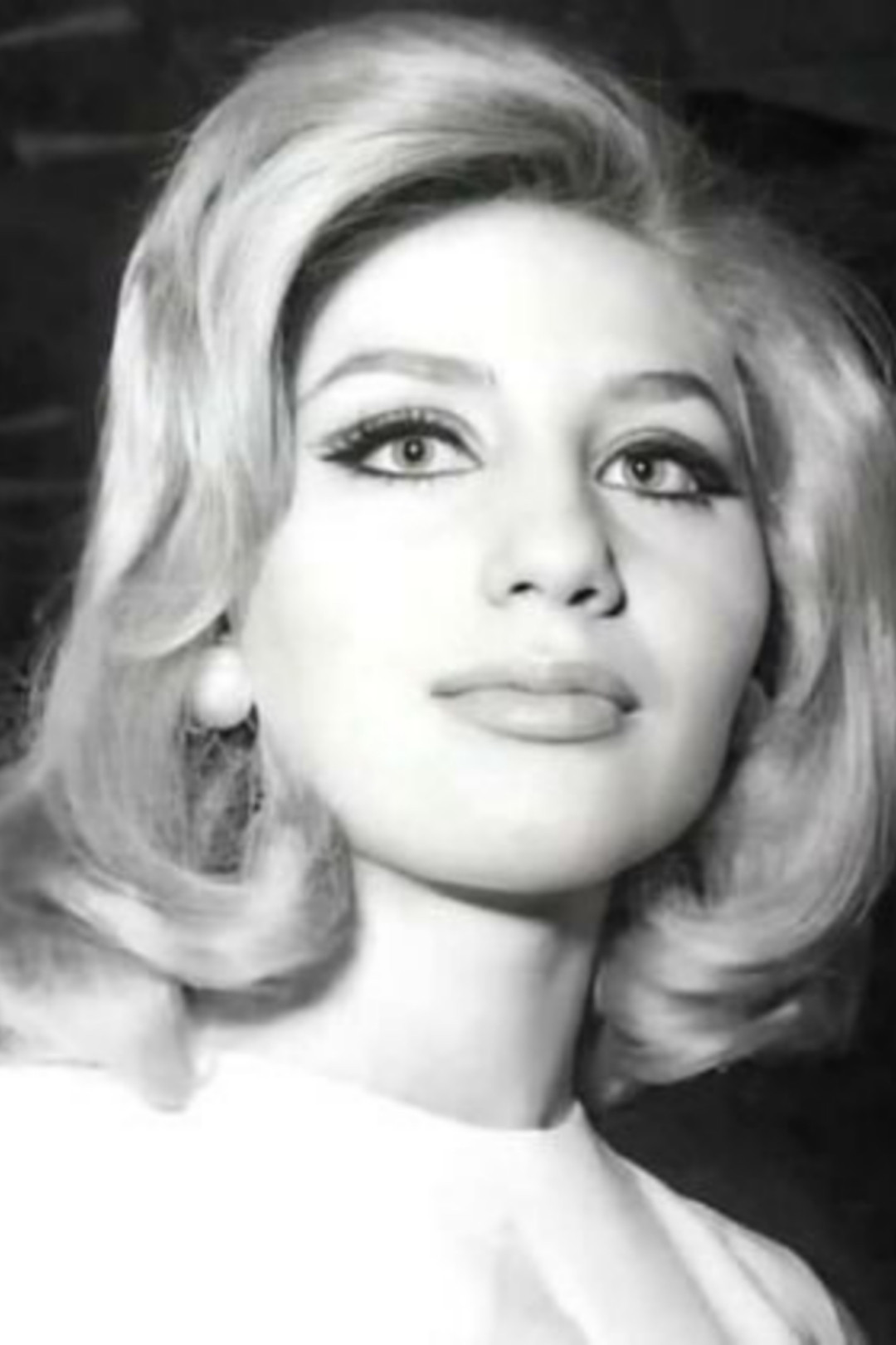 Laila Sheir backdrop