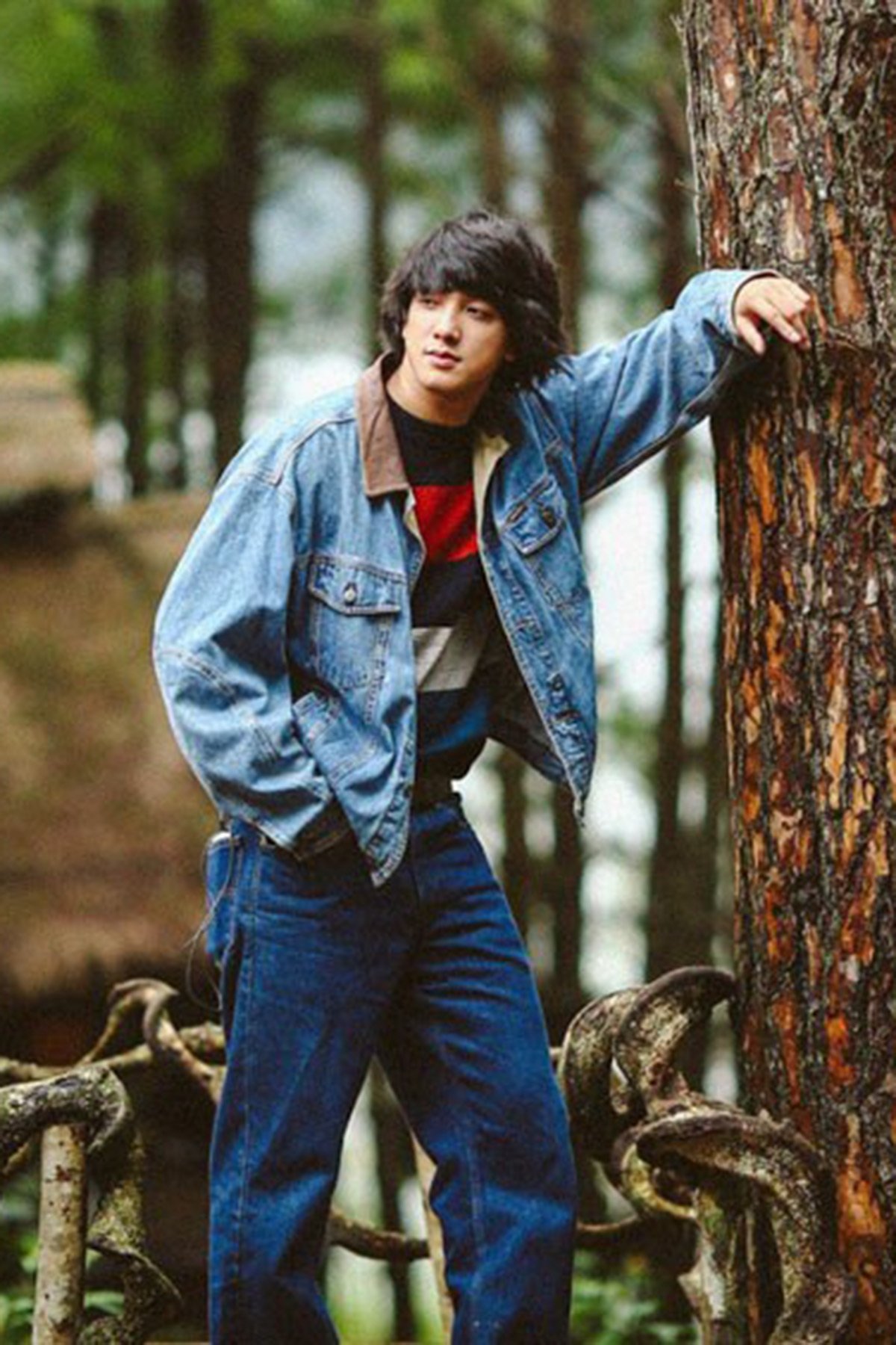 Van Tung → Van Tung backdrop