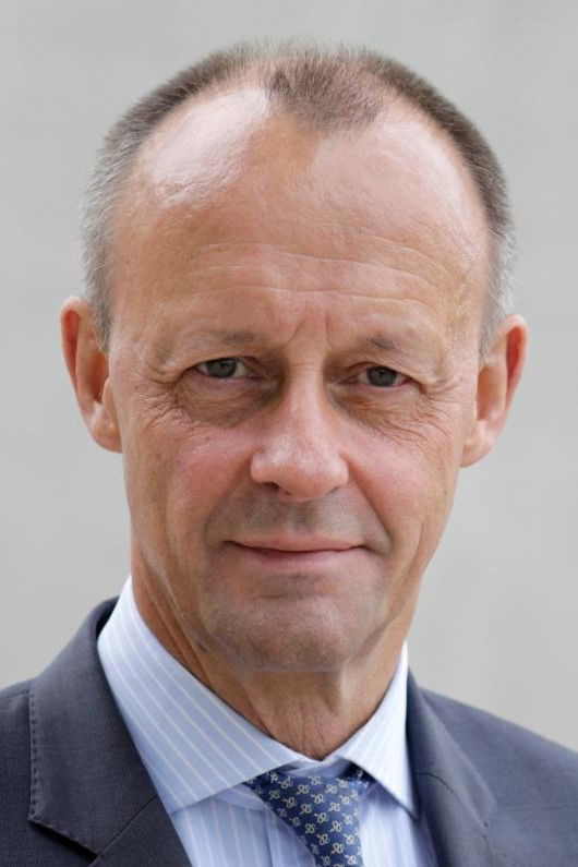 Friedrich Merz backdrop