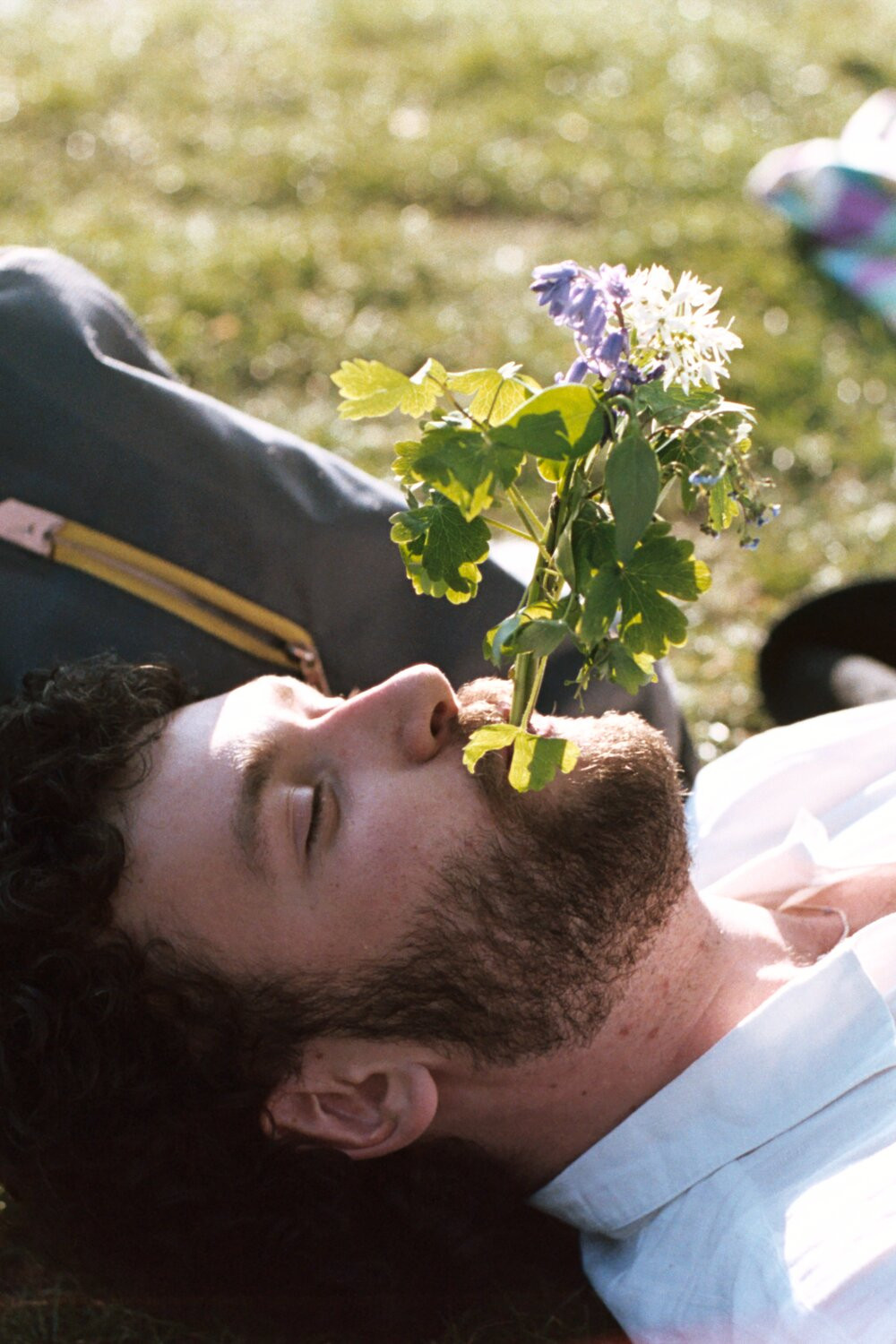 Gustav Kryger backdrop