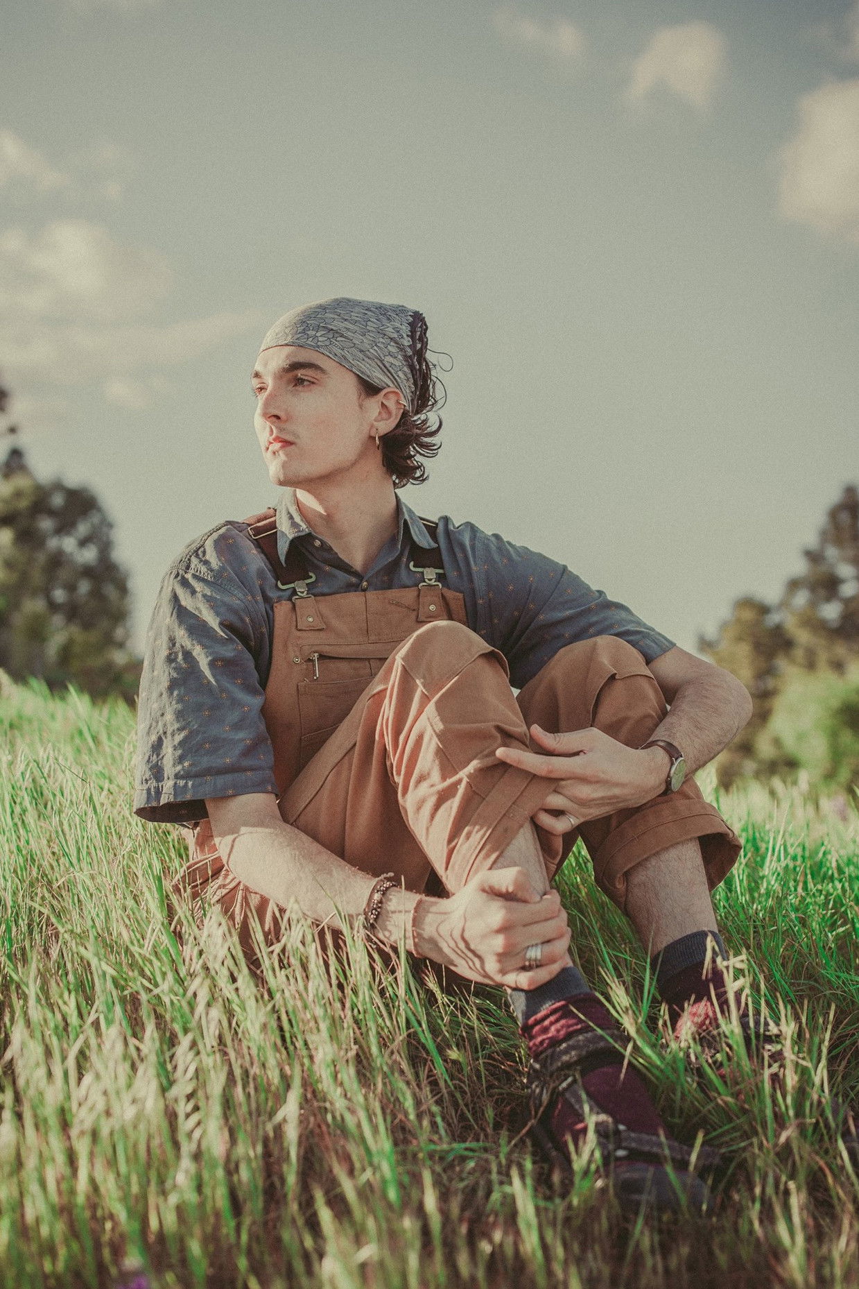 Austin Dalgleish backdrop