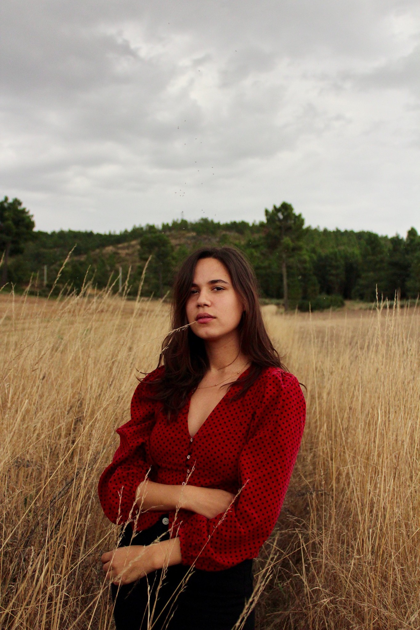 Ana Silvestre backdrop