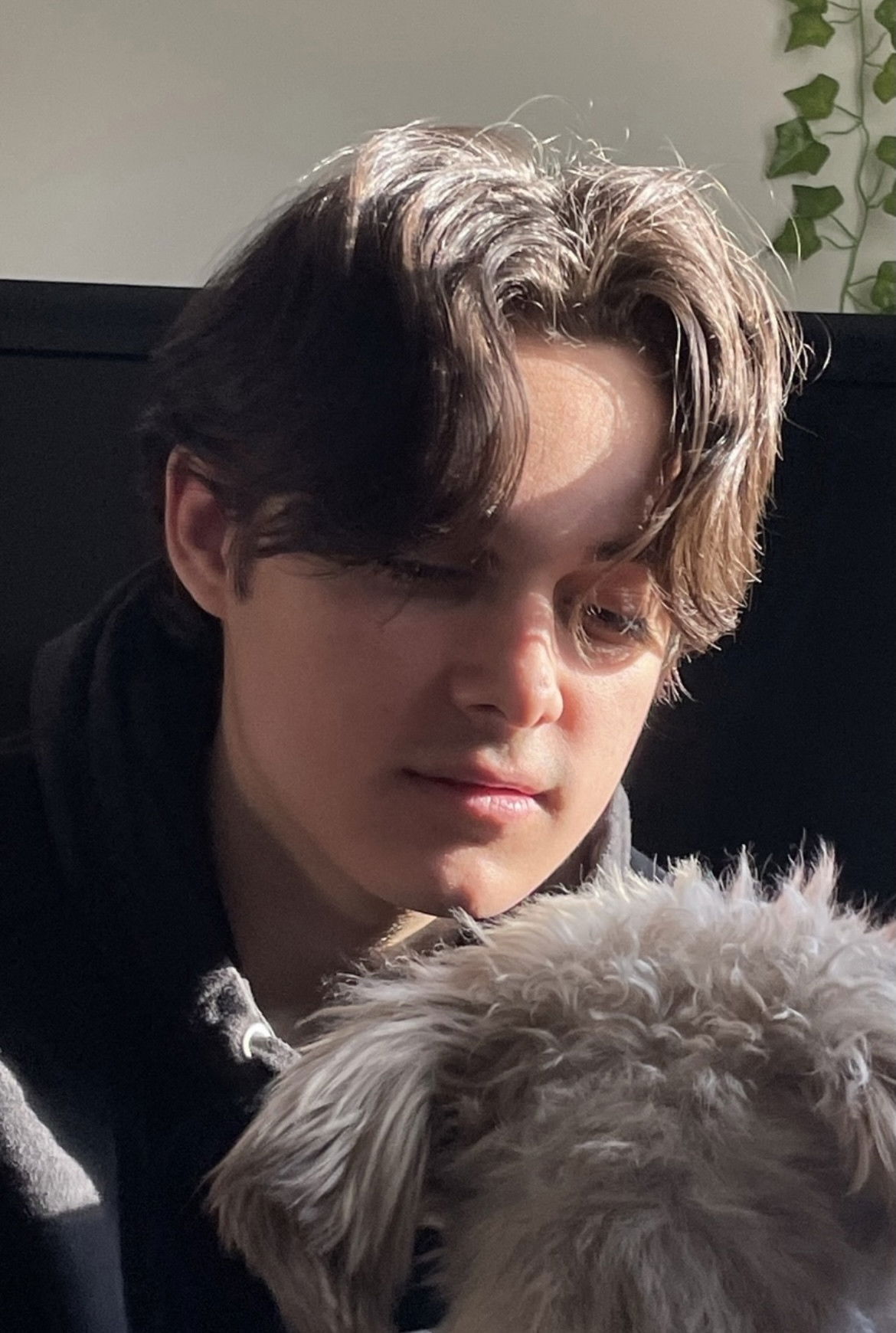 Patrick French backdrop