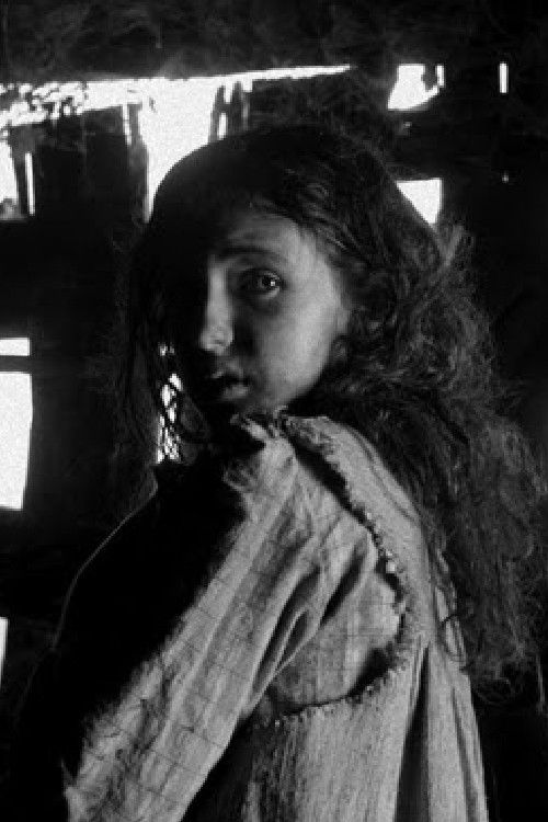 Udane Elosegi backdrop