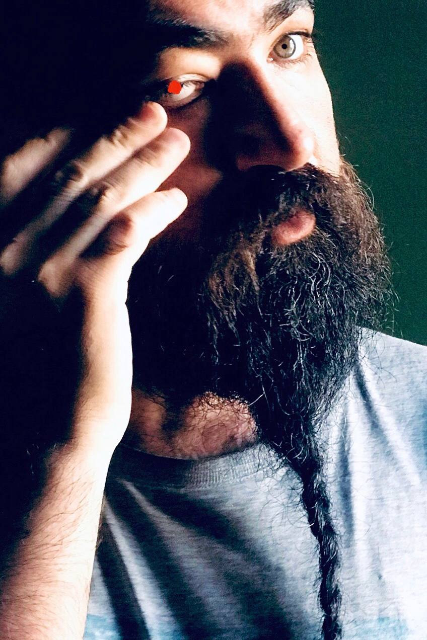 Faramarz Ramezanian backdrop