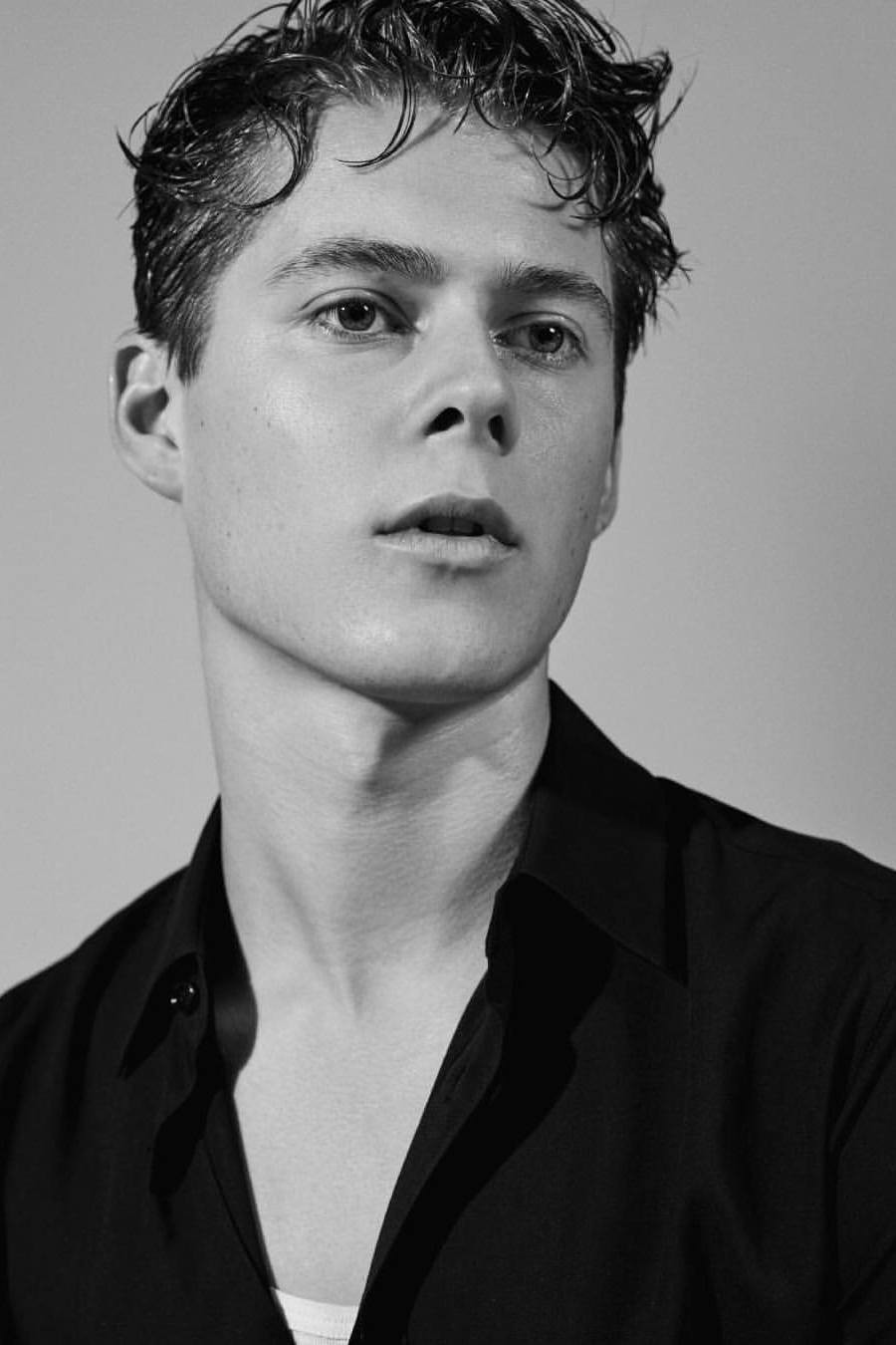 Alfie Noble backdrop