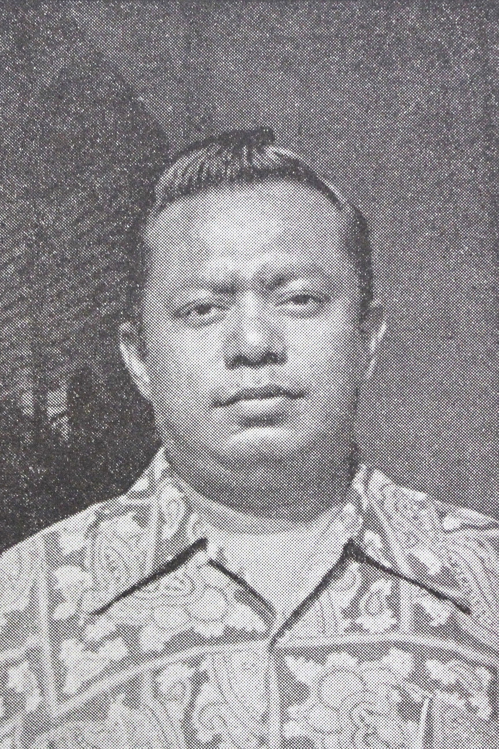 Boes Boestami backdrop