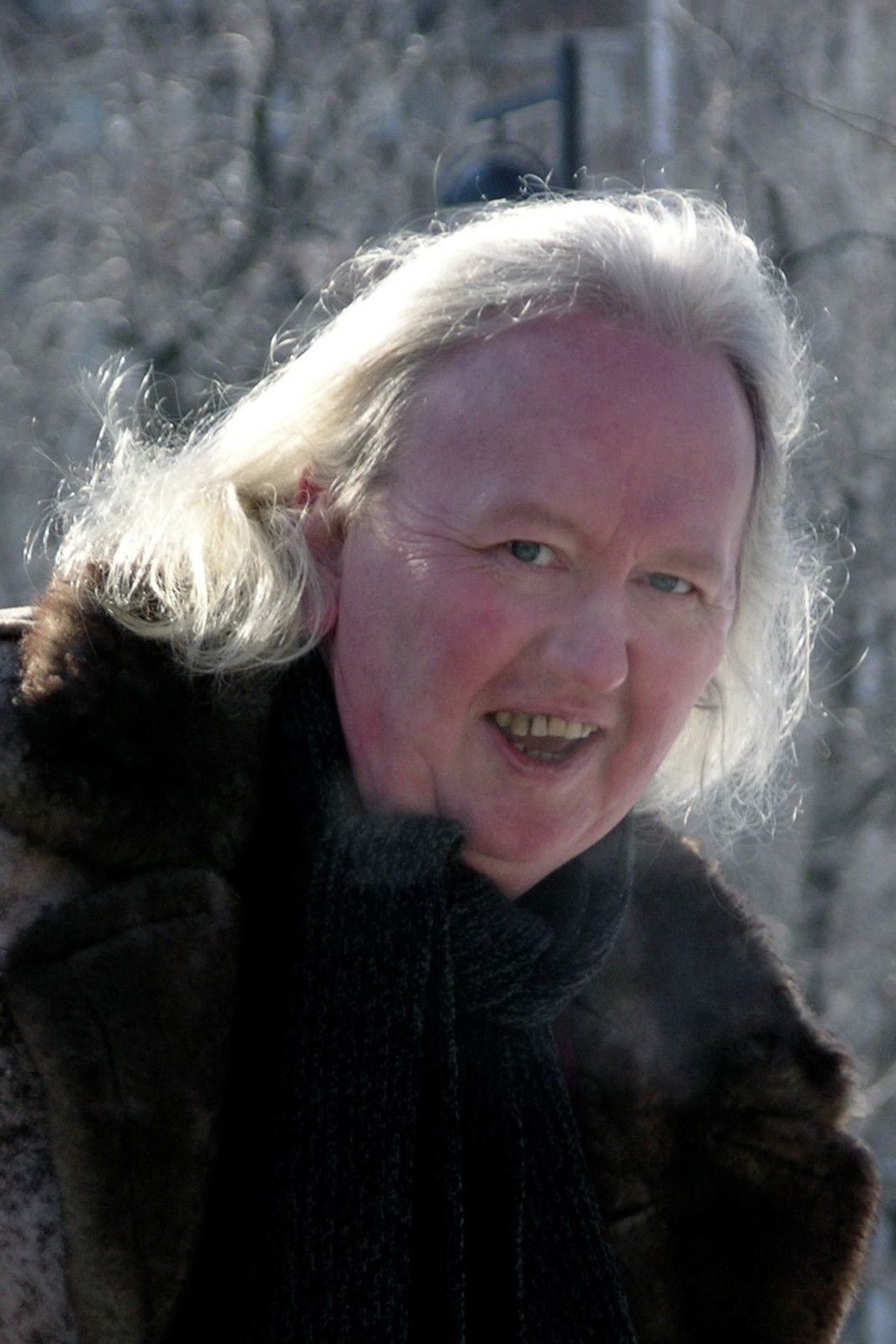 Dan Chapman backdrop