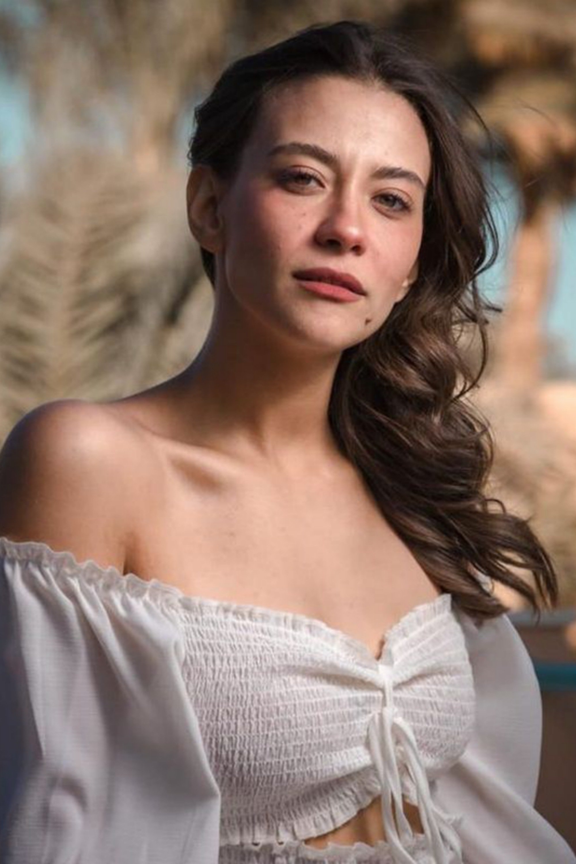 Gala Hesham backdrop