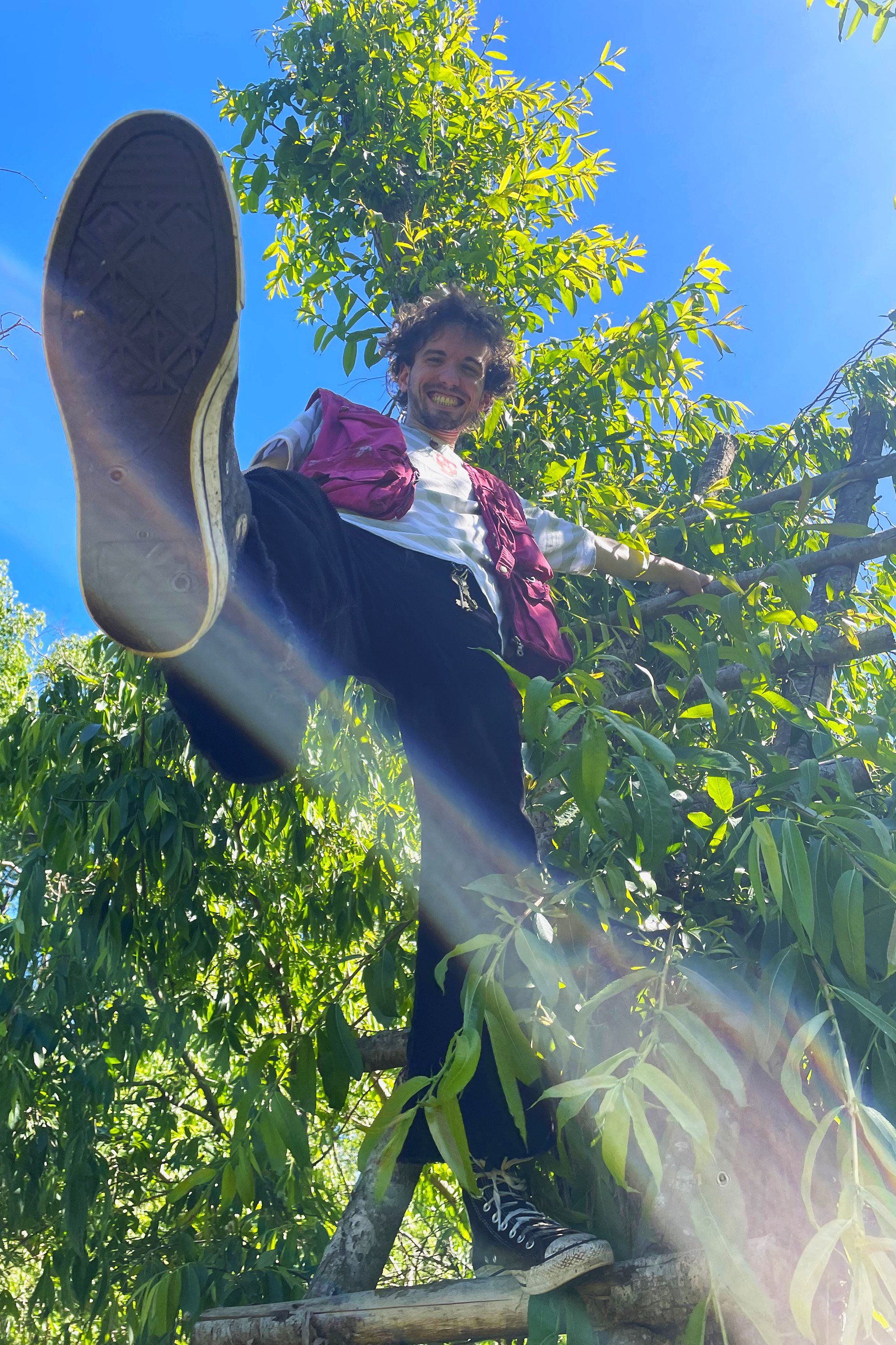 Joaquin Arturo Dolera Rosa backdrop