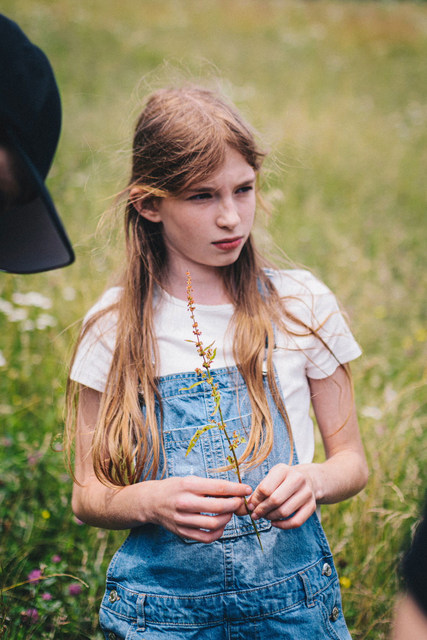 Tara Krvina backdrop