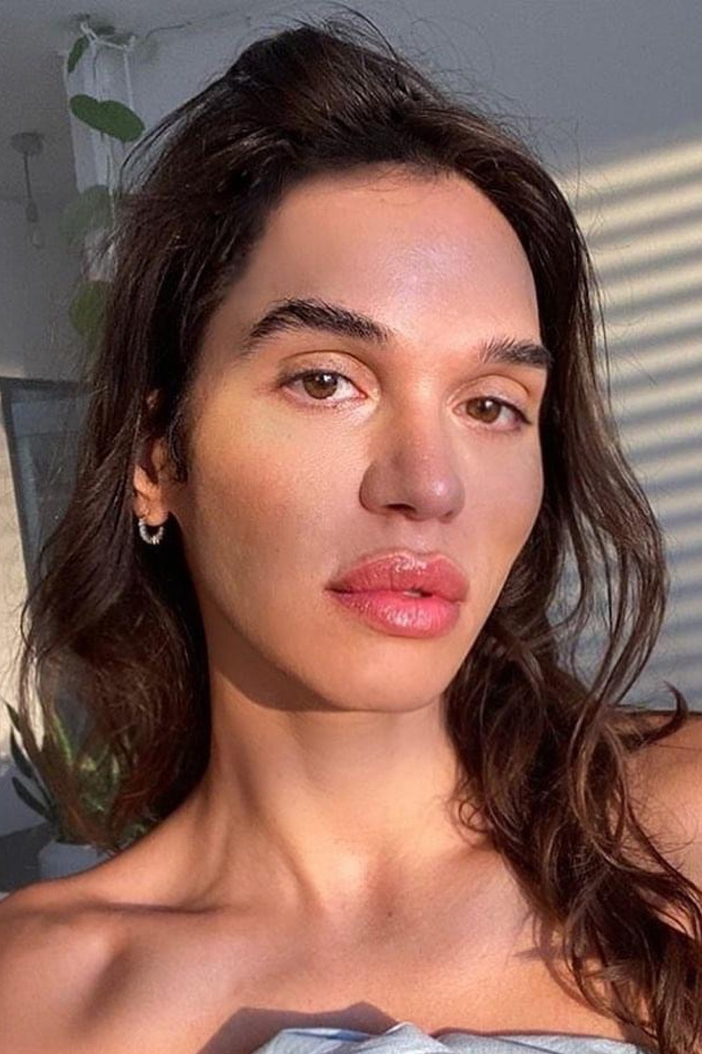 Tzef Montana backdrop