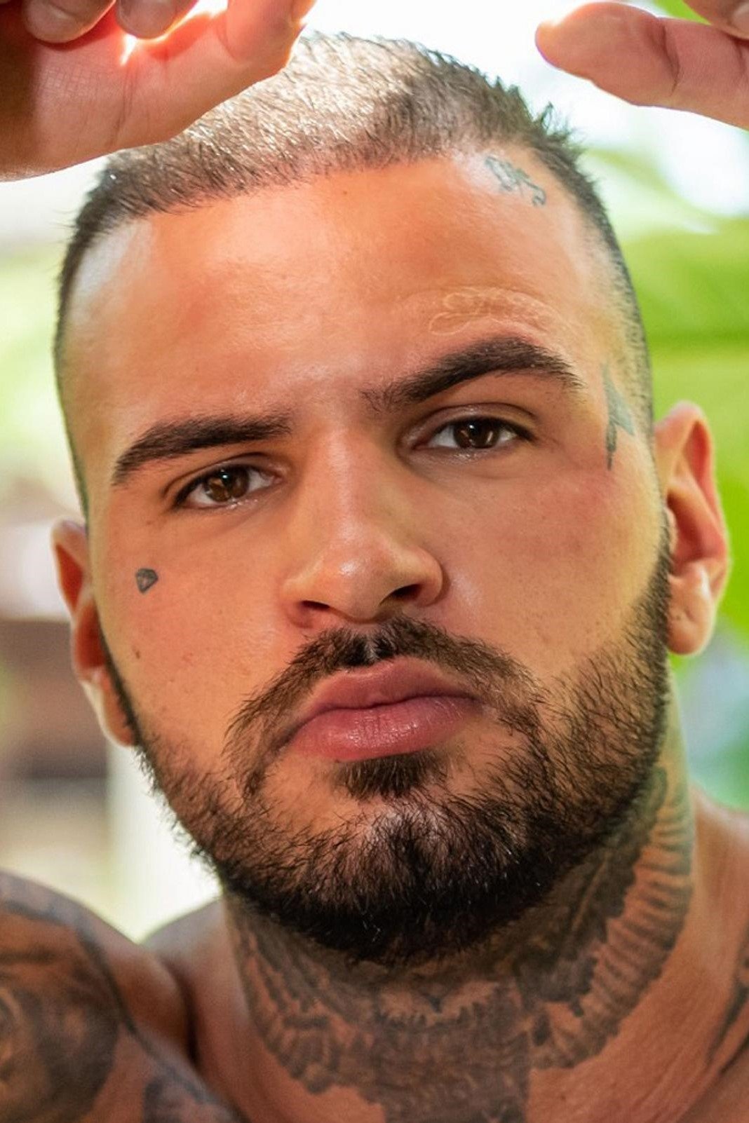 Diogo Sangre backdrop