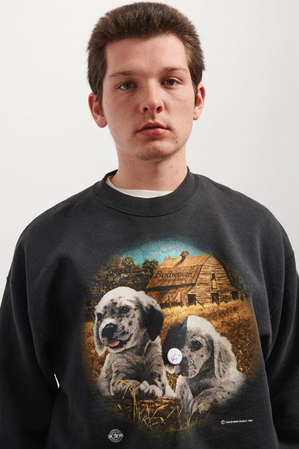 Sully Cormier backdrop