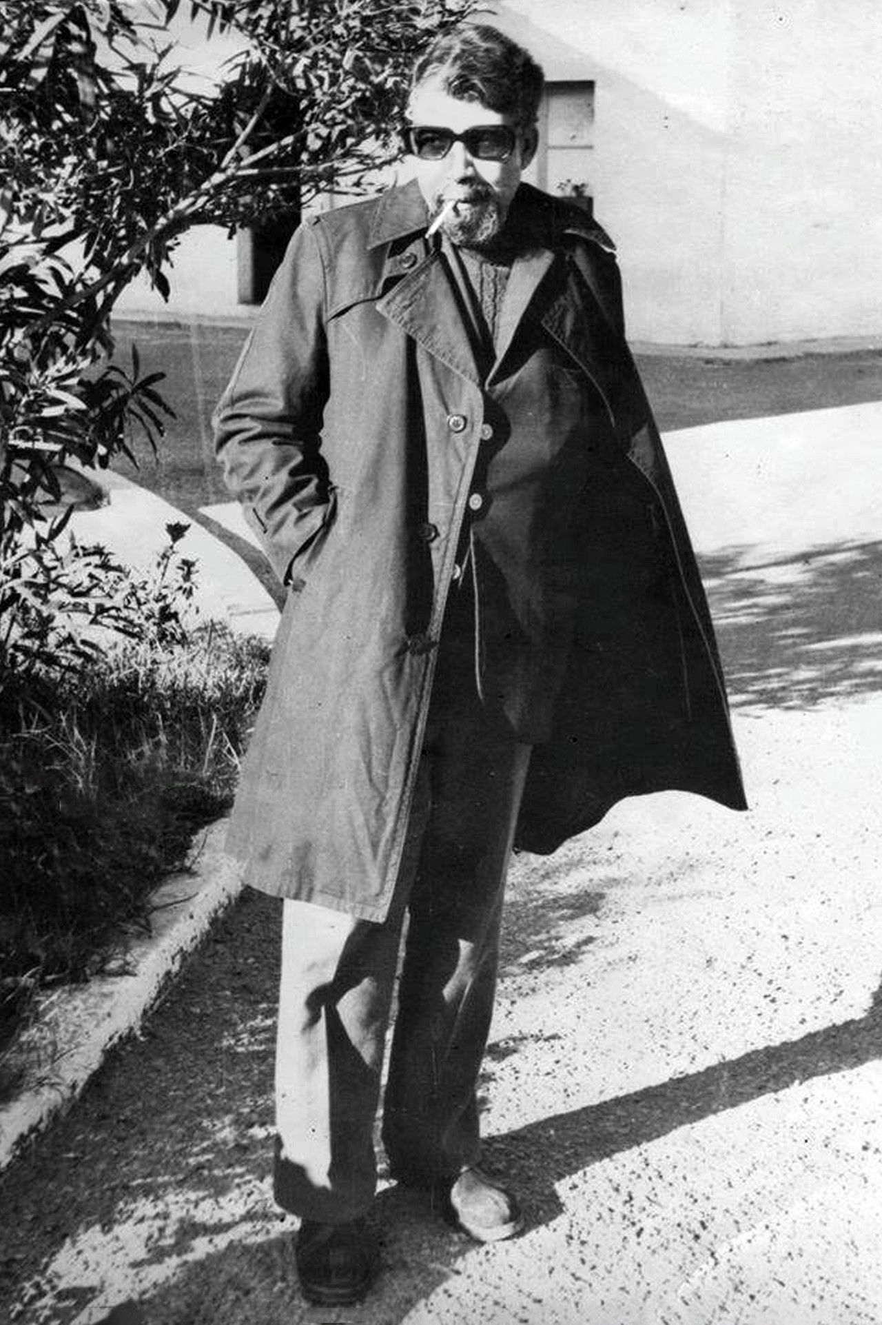 Allel Bachali backdrop