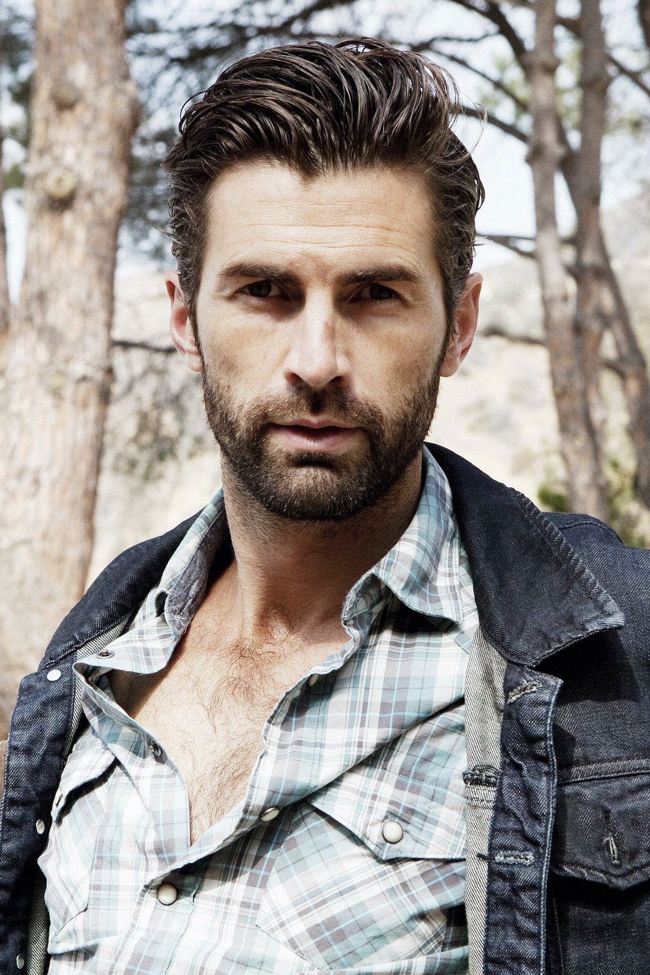 Chris Dingwall backdrop