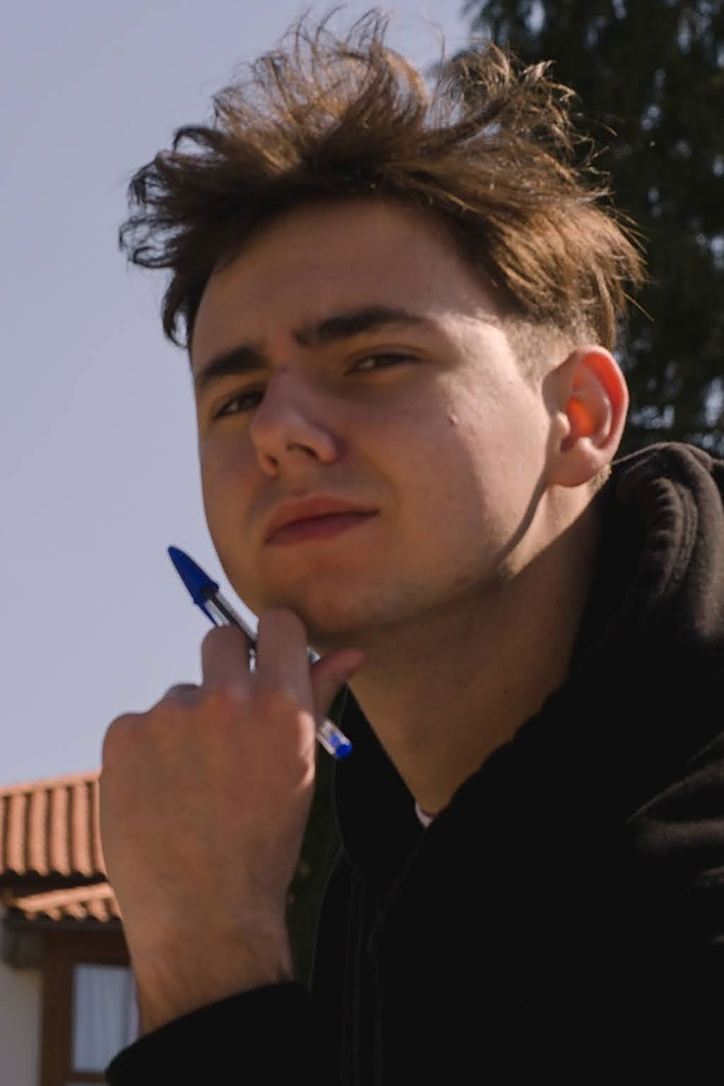 Mihajlo Tornjanski backdrop