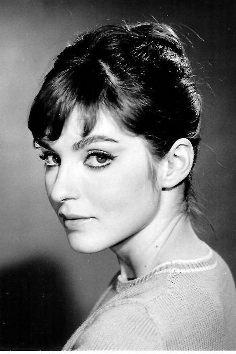 Mari-Frans Pizier backdrop