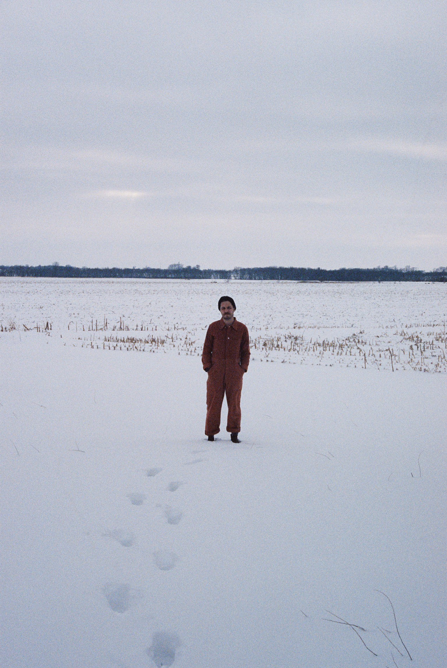 David Nobles backdrop