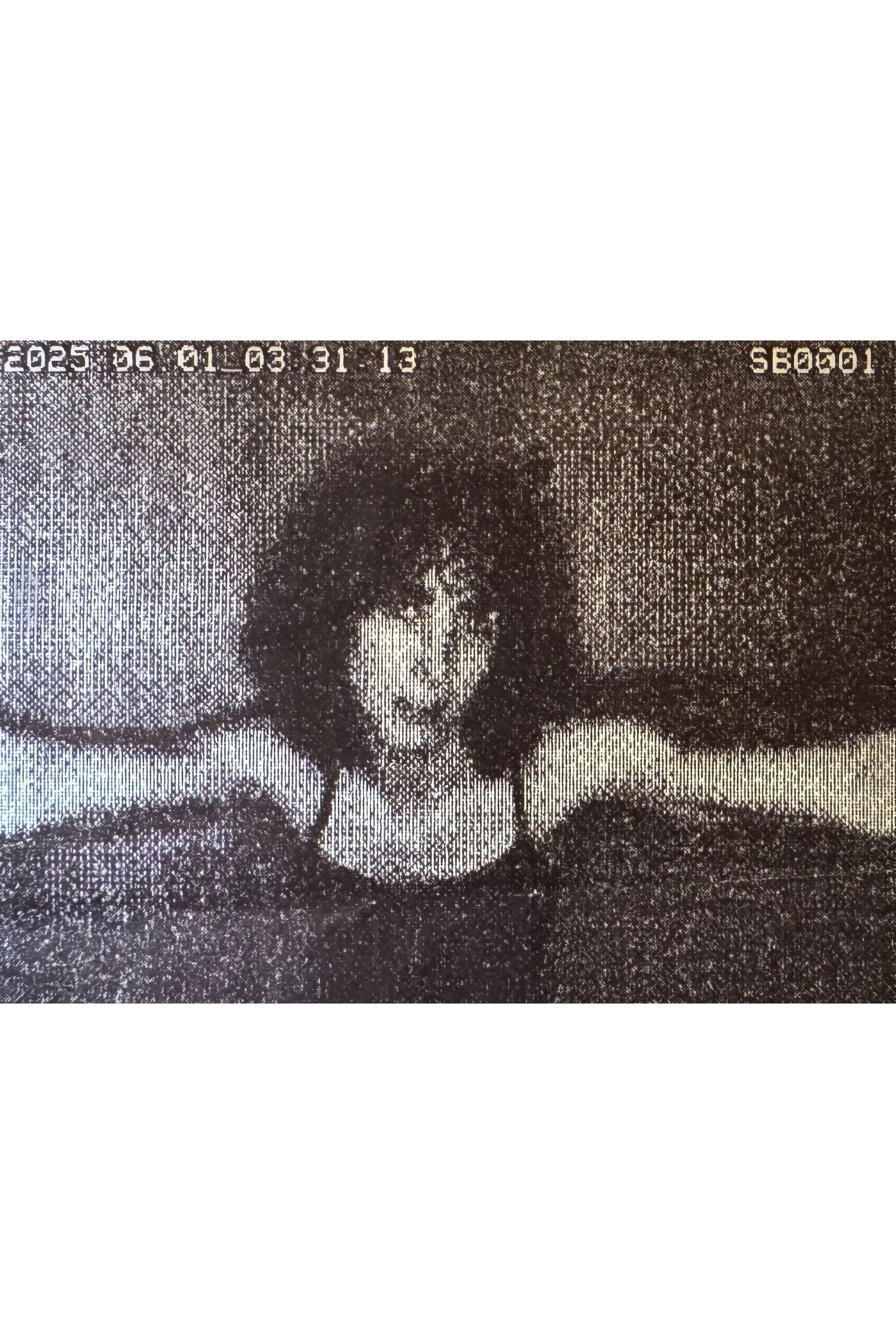 Heather Landsman backdrop