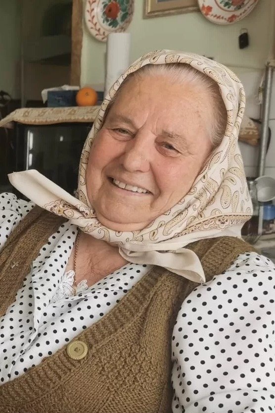 Elena Moldovan backdrop