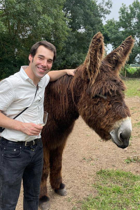 Matthis Dollwet backdrop