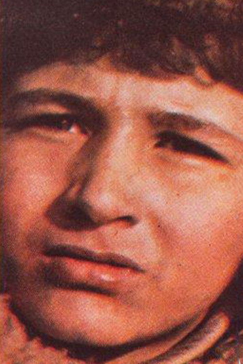 Polat A. Jöntürk backdrop