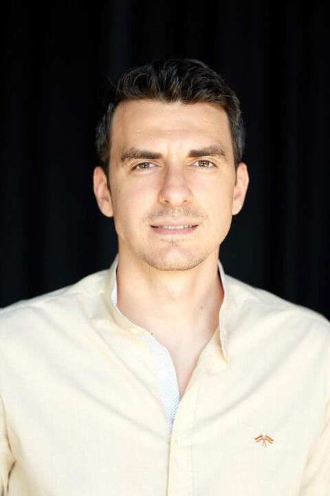 Alexandru Ion backdrop