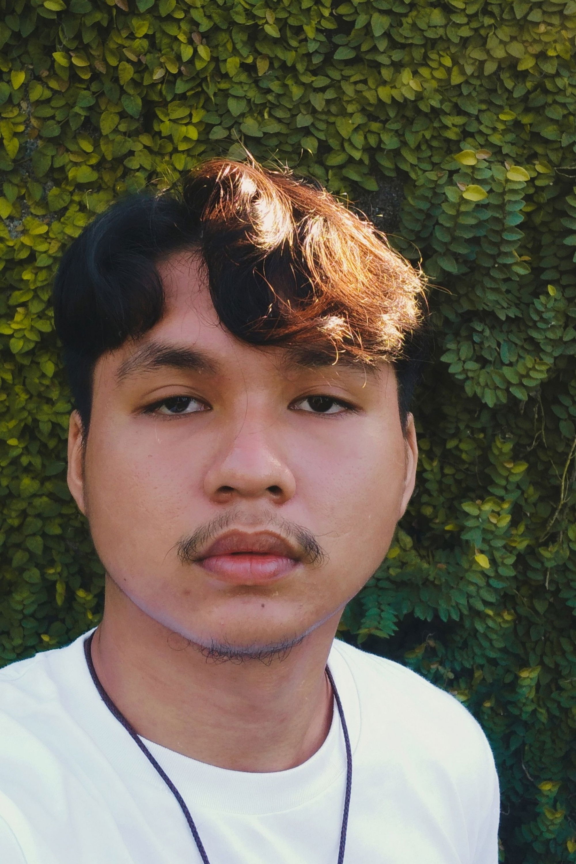 Robbie Capio backdrop