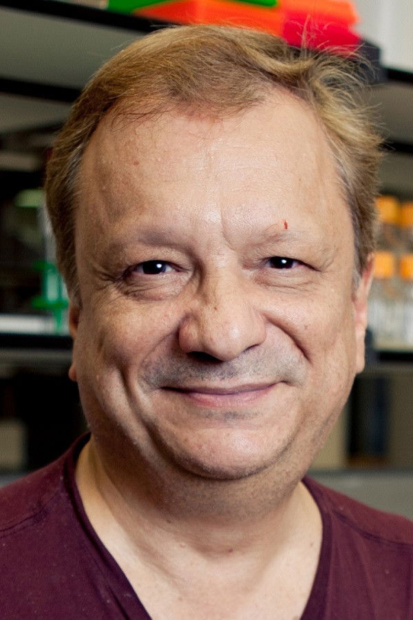 Michael Rampino backdrop