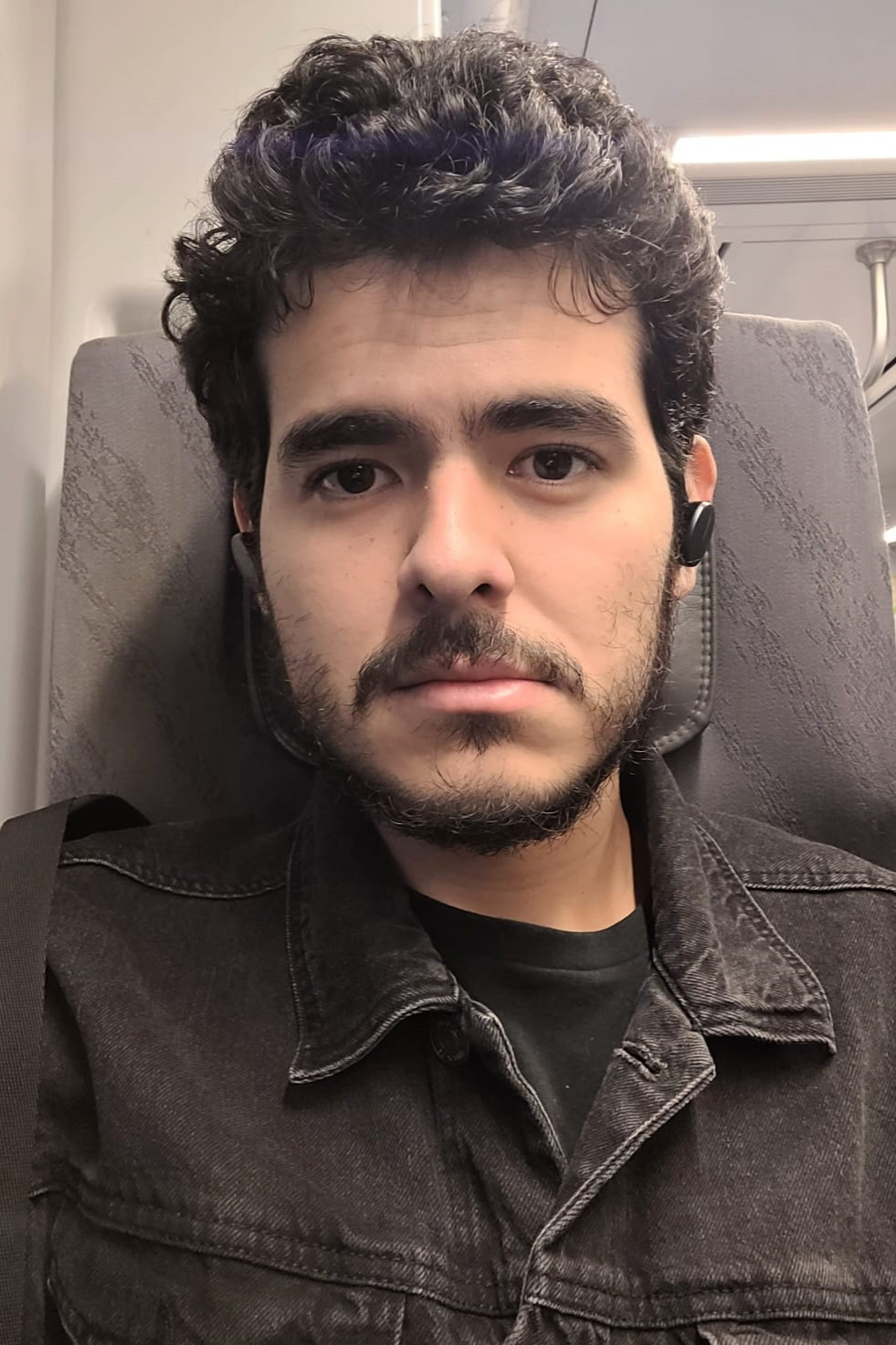 Hans Hoffmann backdrop