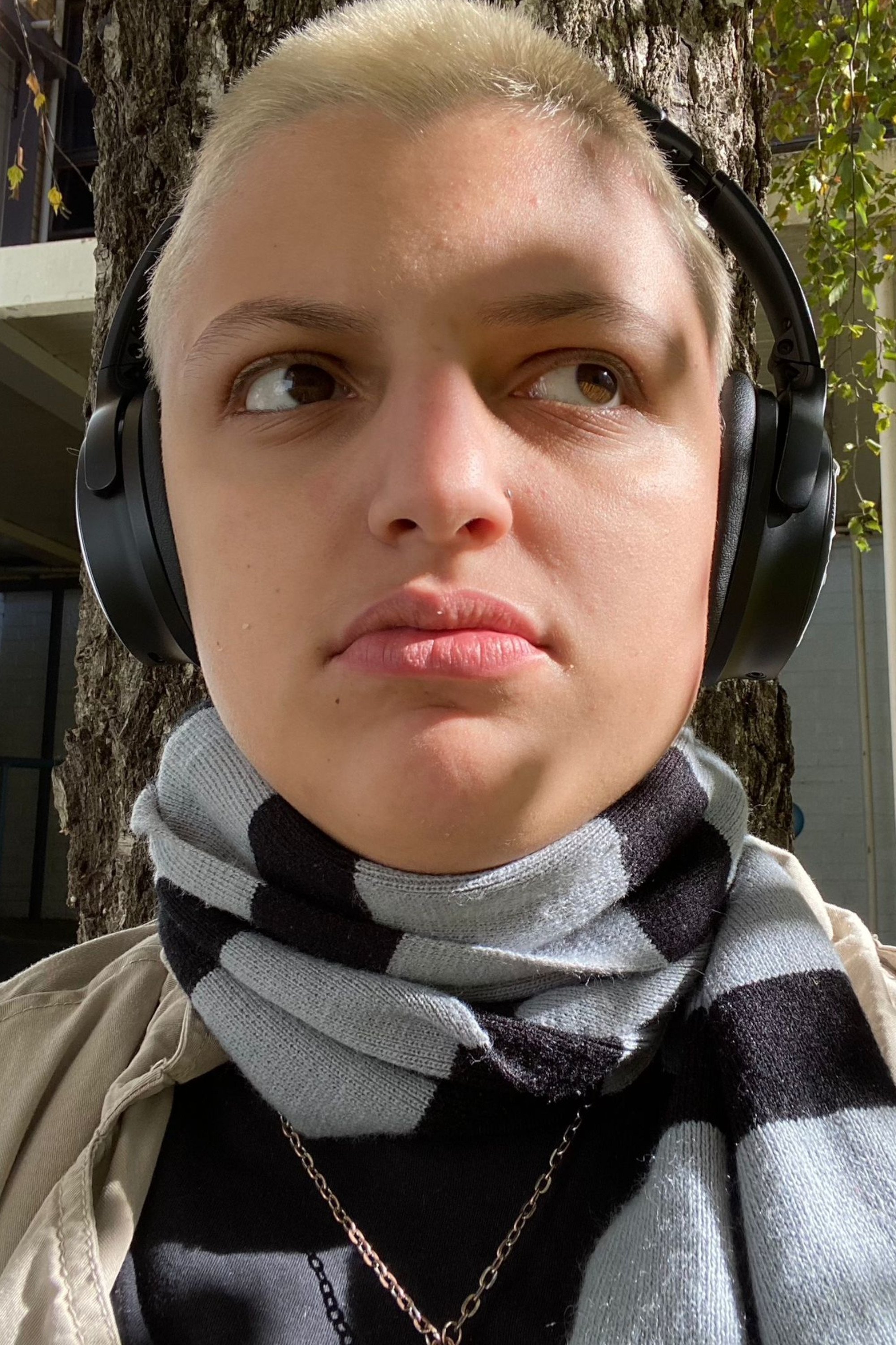 Viper Malcomess backdrop