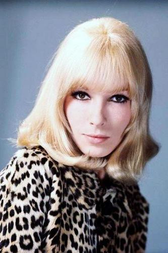 Dany Saval backdrop