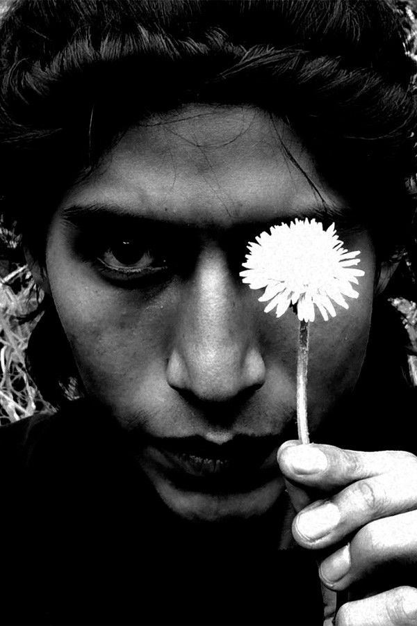 Ladislao Cardozo backdrop