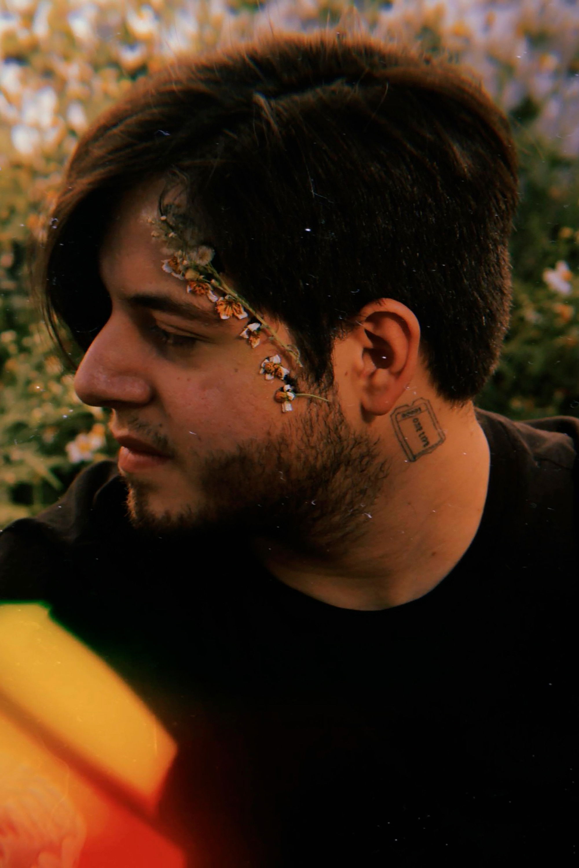 Alexis Encarnación backdrop