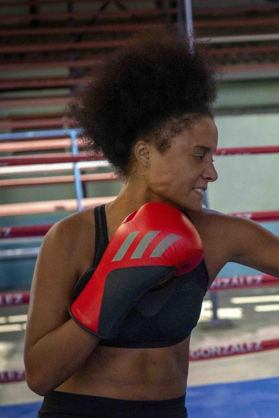 Gisell Bello García backdrop